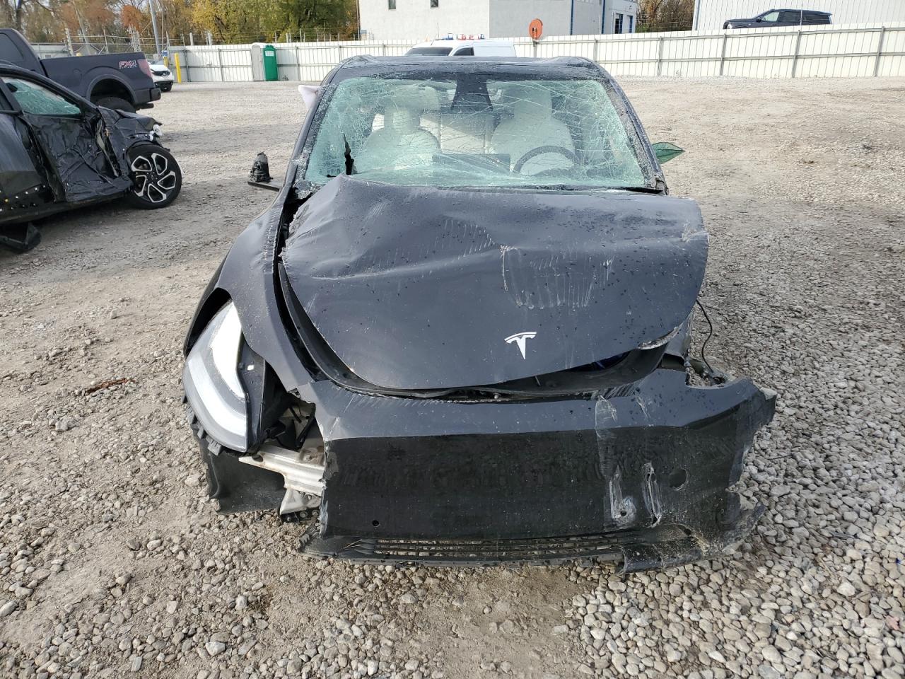 Lot #3318874012 2021 TESLA MODEL Y