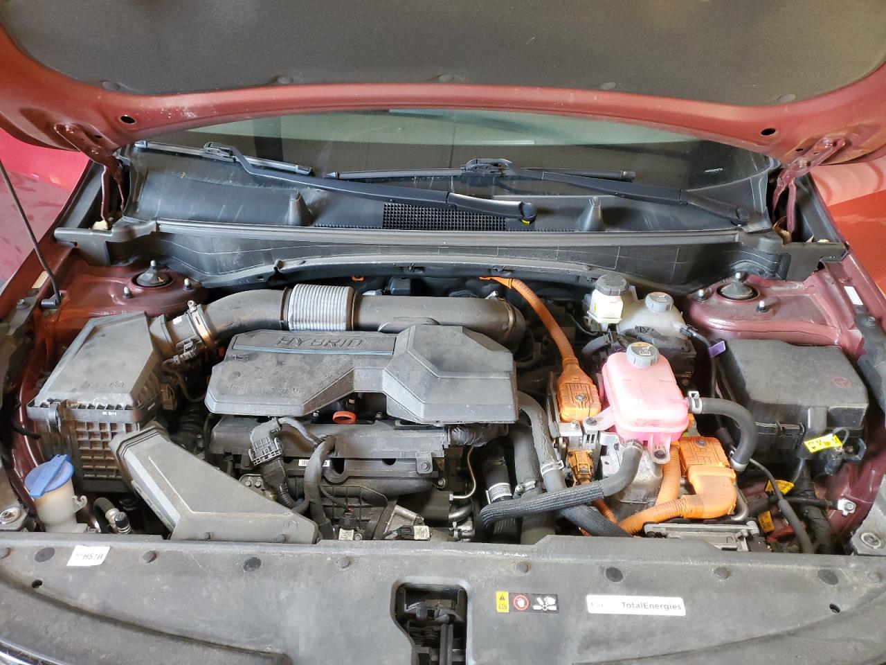 Lot #3301986480 2023 KIA SPORTAGE S