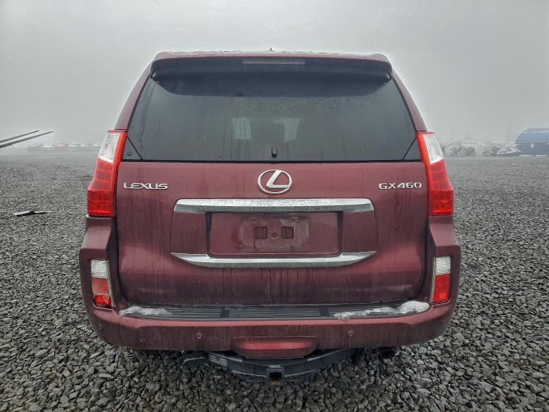 2010 LEXUS GX 460 #3301664639