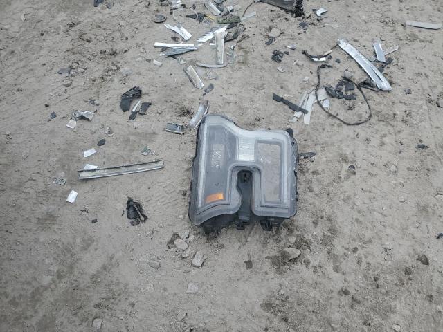 2019 FORD F150 RAPTO #3292458710