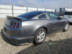 Lot #3303861796 2013 FORD MUSTANG