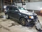 Lot #3309401986 2012 FORD ESCAPE LIM