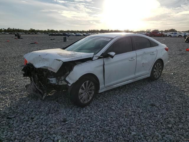 2016 HYUNDAI SONATA SPO - 5NPE34AF6GH264103