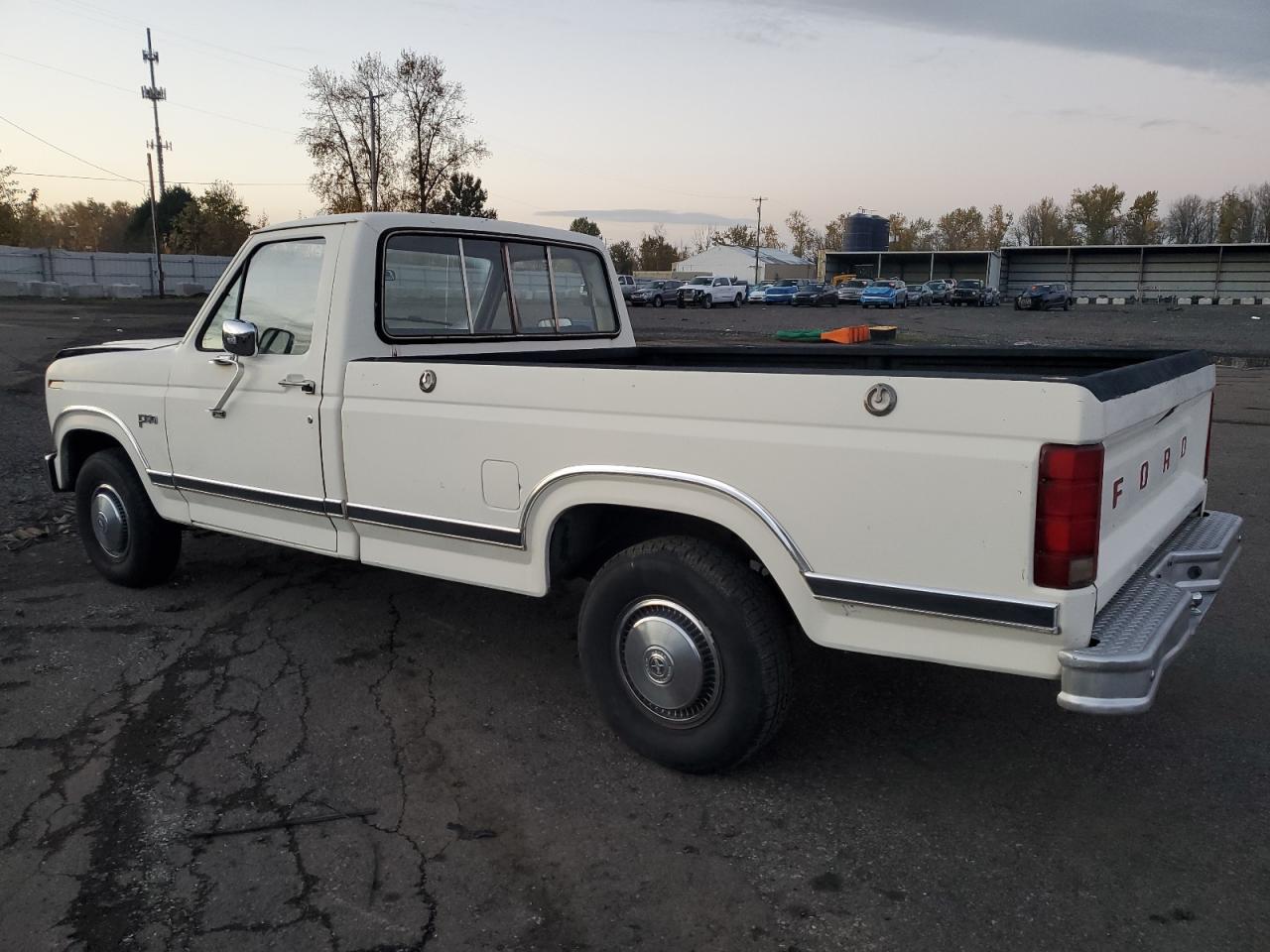 Lot #3291157978 1982 FORD F150