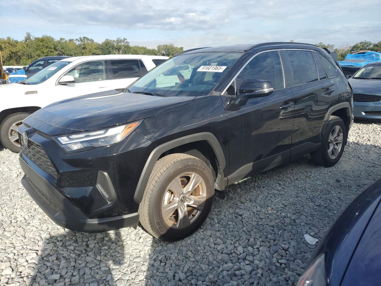 Lot #3302879925 2025 TOYOTA RAV4 XLE