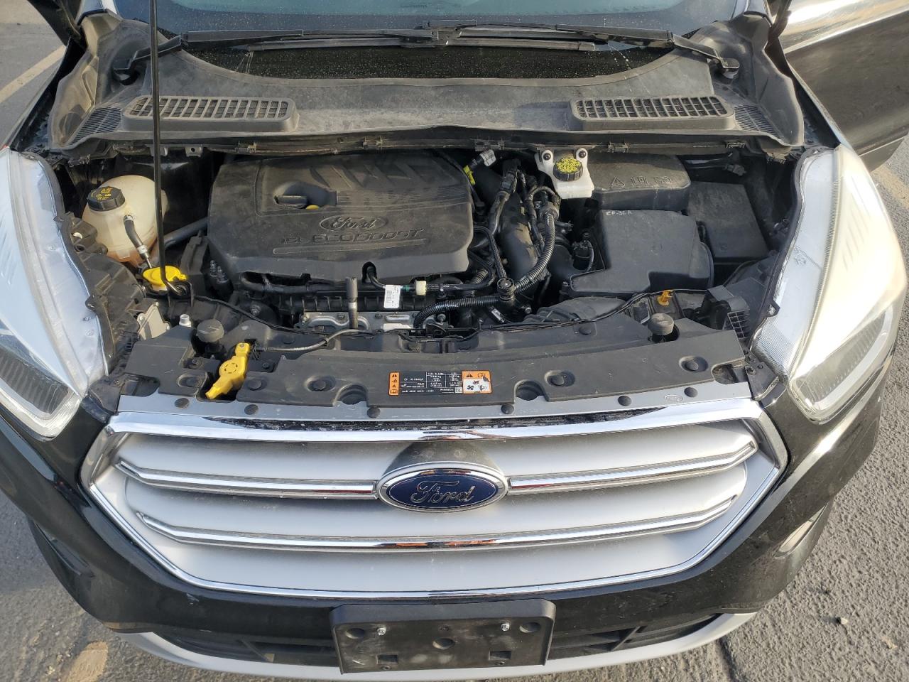 Lot #3310359954 2017 FORD ESCAPE SE