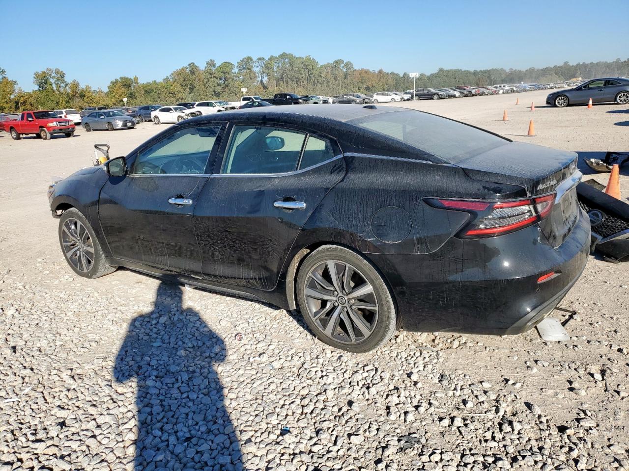 Lot #3318021373 2020 NISSAN MAXIMA SV