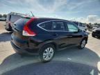 Lot #3303925698 2014 HONDA CR-V EX