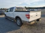 Lot #3294369107 2011 FORD F-150