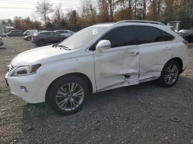 Global Auto Auctions: 2013 LEXUS RX 350