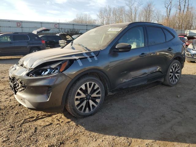 Global Auto Auctions: 2020 FORD ESCAPE SE