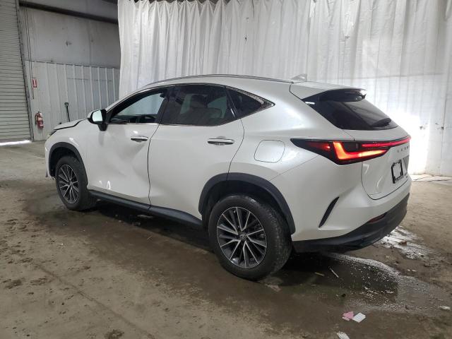 2024 LEXUS NX 350 BAS #3311517250