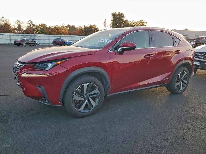 2020 LEXUS NX 300H #3301933515