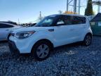 Lot #3292379269 2015 KIA SOUL