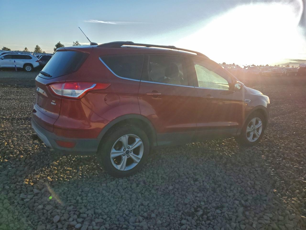 Lot #3309572618 2014 FORD ESCAPE SE
