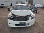 Lot #3305411299 2010 HONDA ACCORD EXL