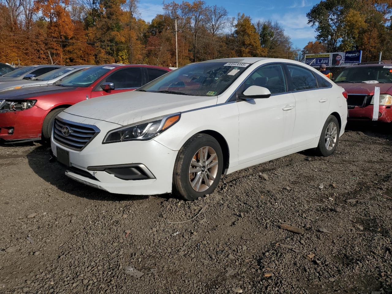 HYUNDAI SONATA SE