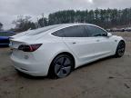 Lot #3302667021 2020 TESLA MODEL 3
