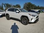 Lot #3297933780 2024 TOYOTA RAV4 XLE P