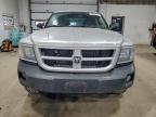 Lot #3296239460 2011 DODGE DAKOTA SLT
