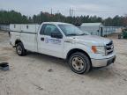 Lot #3296290413 2013 FORD F150