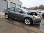Lot #3301601629 2016 FORD FOCUS SE