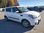 Lot #3311485281 2010 KIA SOUL +
