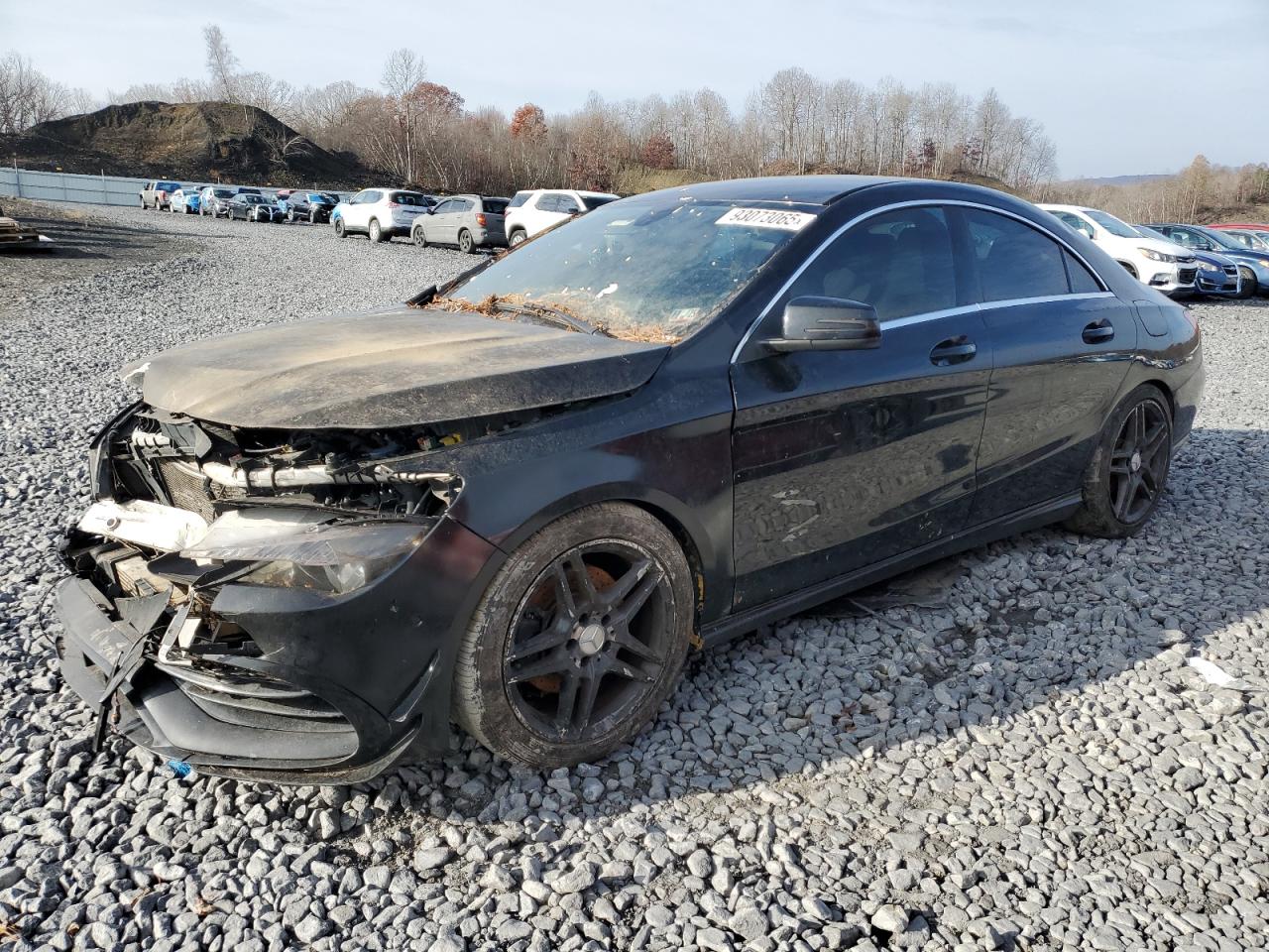 MERCEDES-BENZ CLA-CLASS 250