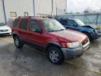 Lot #3303930717 2004 FORD ESCAPE XLT