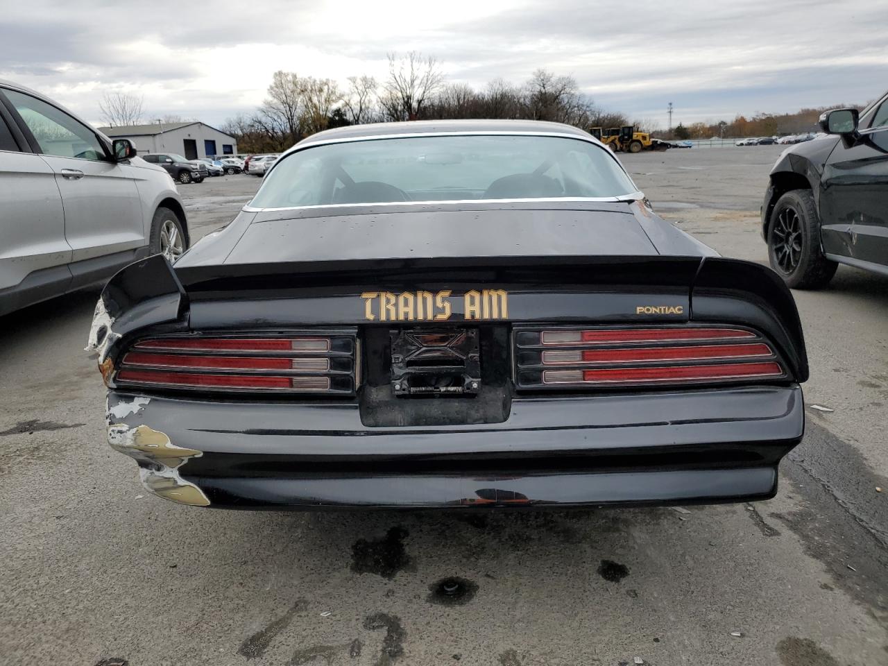 Lot #3286345728 1977 PONTIAC FIREBIRD T