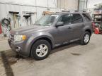 Lot #3304783943 2011 FORD ESCAPE XLT