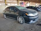 Lot #3296907839 2010 LEXUS HS 250H