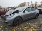 Lot #3302963643 2025 TESLA MODEL Y
