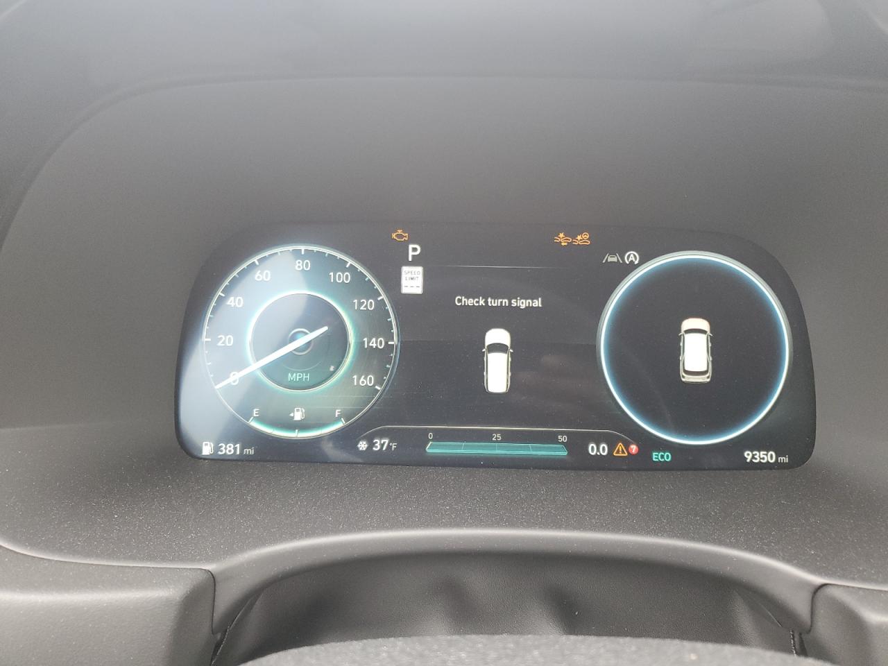 HYUNDAI PALISADE CALLIGRAPHY