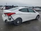 Lot #3316880109 2013 HYUNDAI ELANTRA GL