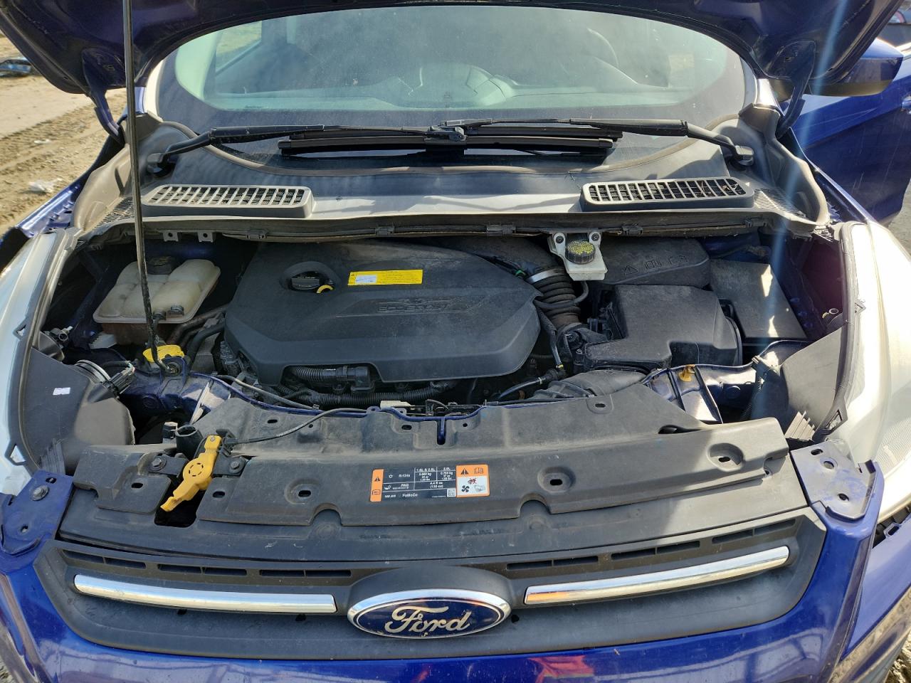 Lot #3301815345 2016 FORD ESCAPE SE