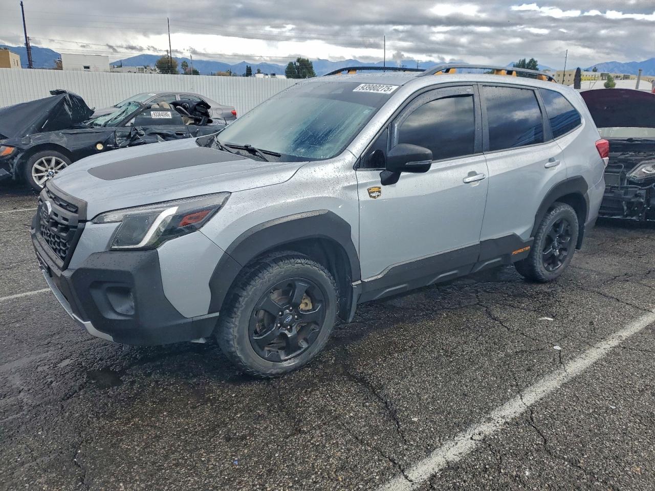 SUBARU FORESTER WILDERNESS