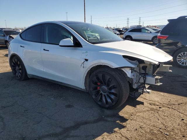 2023 TESLA MODEL Y #3312454625
