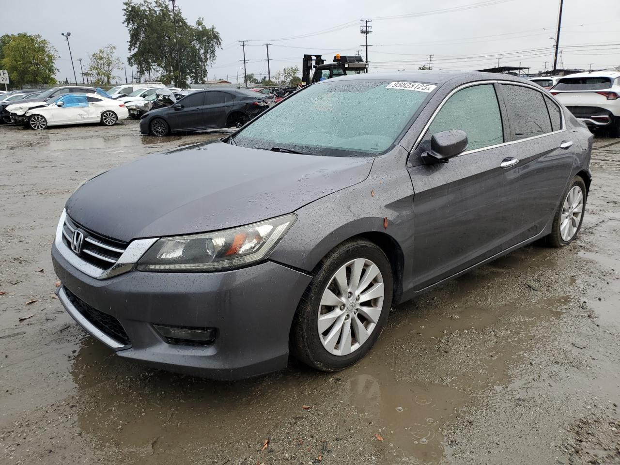 HONDA ACCORD EX