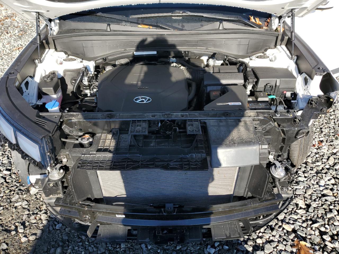 HYUNDAI PALISADE CALLIGRAPHY