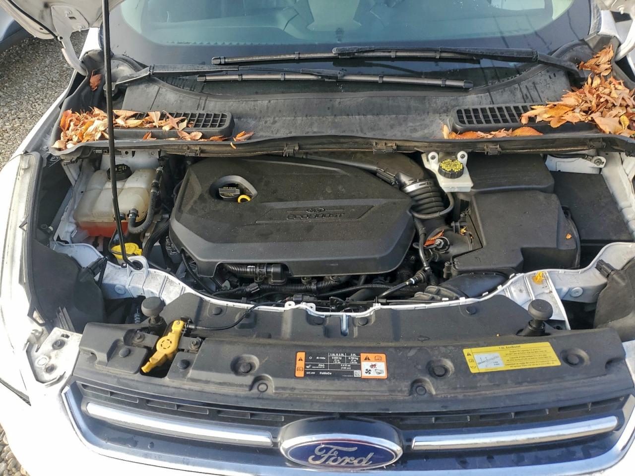 FORD ESCAPE TITANIUM