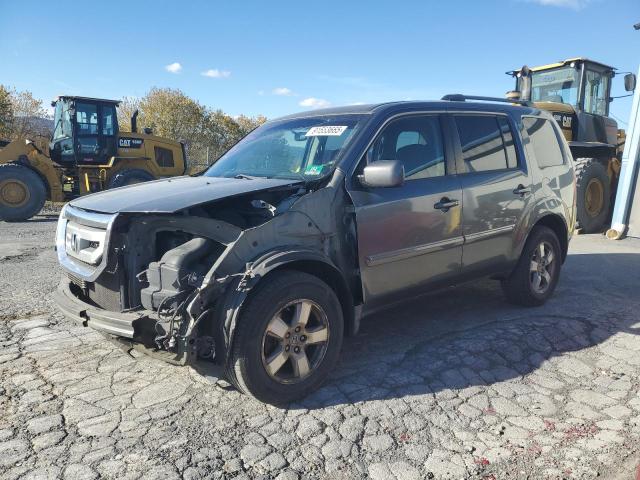 5FNYF4H49AB023828 2010 HONDA PILOT