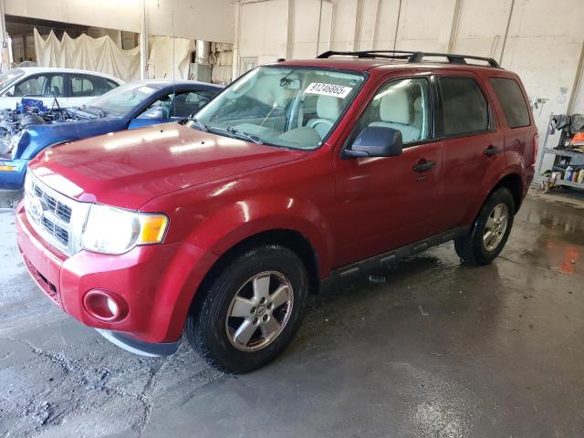 Global Auto Auctions: 2011 FORD ESCAPE XLT