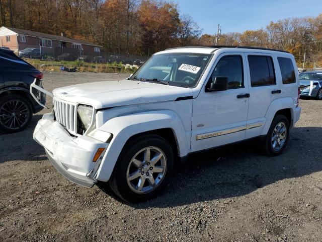 Global Auto Auctions: 2012 JEEP LIBERTY