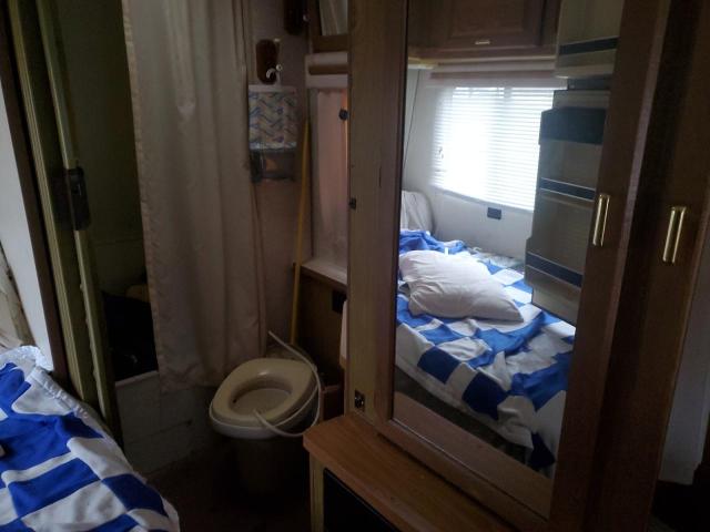 1989 IIEN SUNFLYER #3291509922