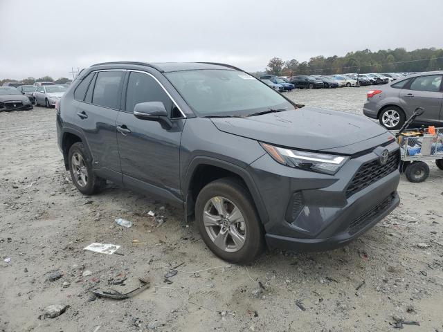 2025 TOYOTA RAV4 XLE #3309568551