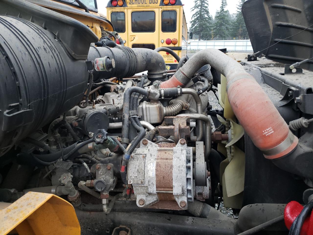 Lot #3287478014 2009 IC CORPORATION CE SERIES SCHOOL