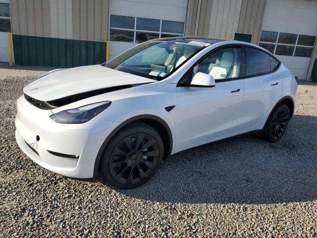 2025 TESLA MODEL Y #3302759387