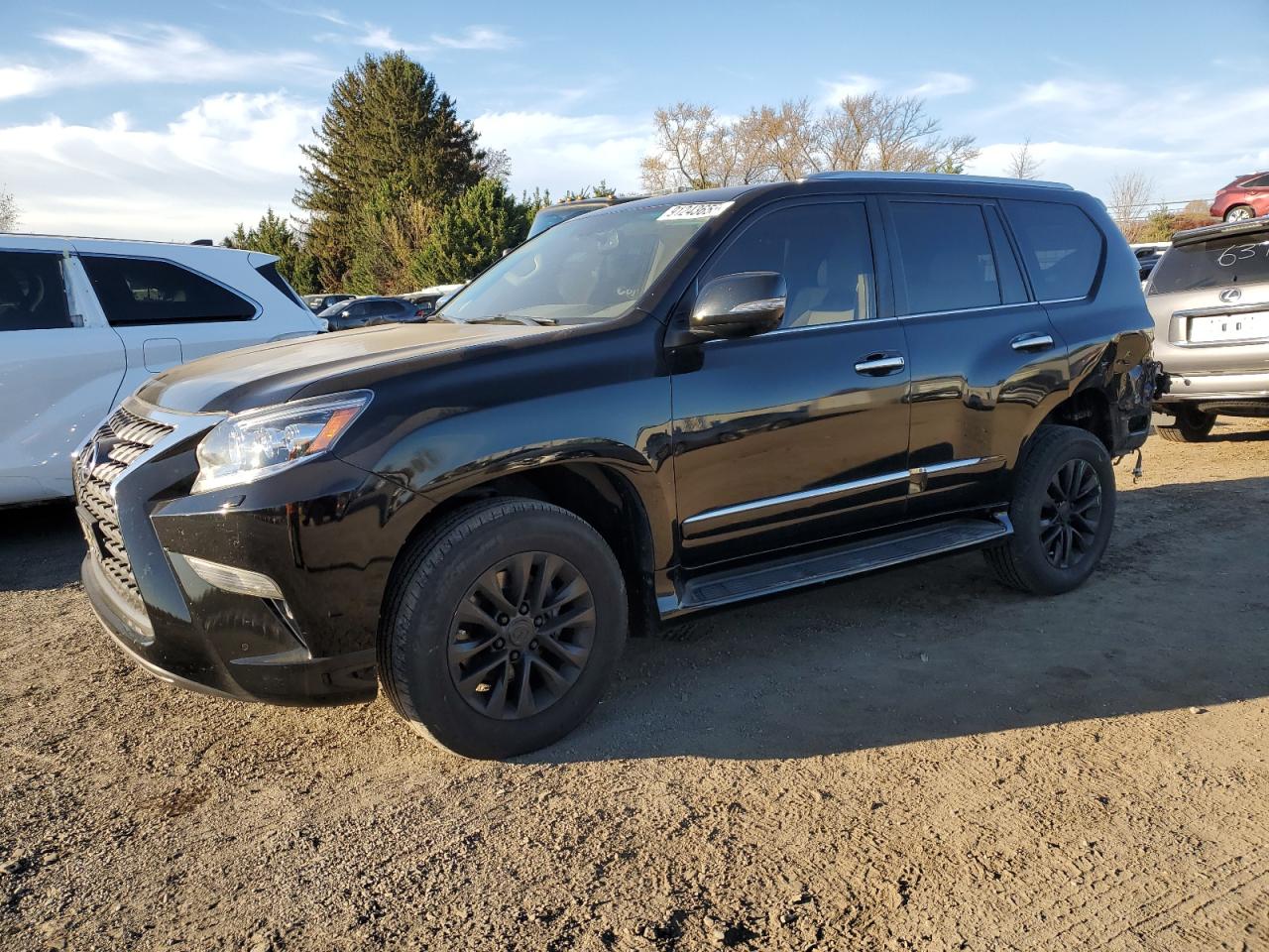LEXUS GX 460