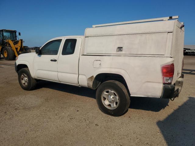 2024 TOYOTA TACOMA ACC #3292427552